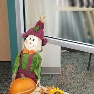 Meet your Posher, Belinda